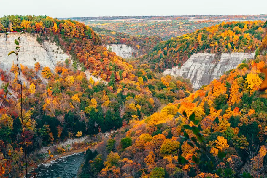 Finger Lakes Fall Foliage5 Come Join My Journey