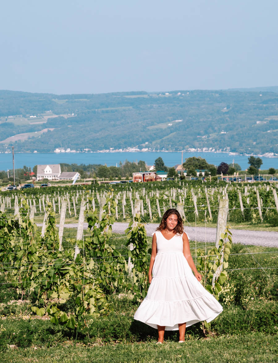 Point of the Bluff Vineyard