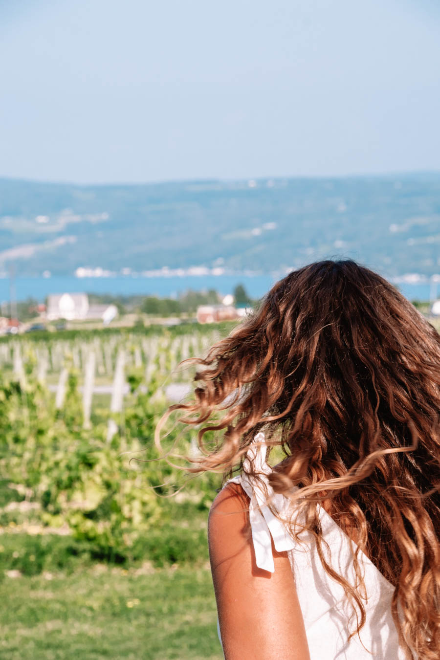 Point of the Bluff Vineyard