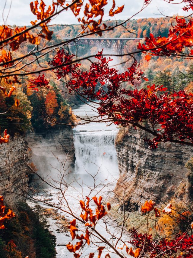 Letchworth State Park Fall Foliage Story Come Join My Journey