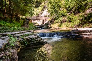 stony brook self guided tour