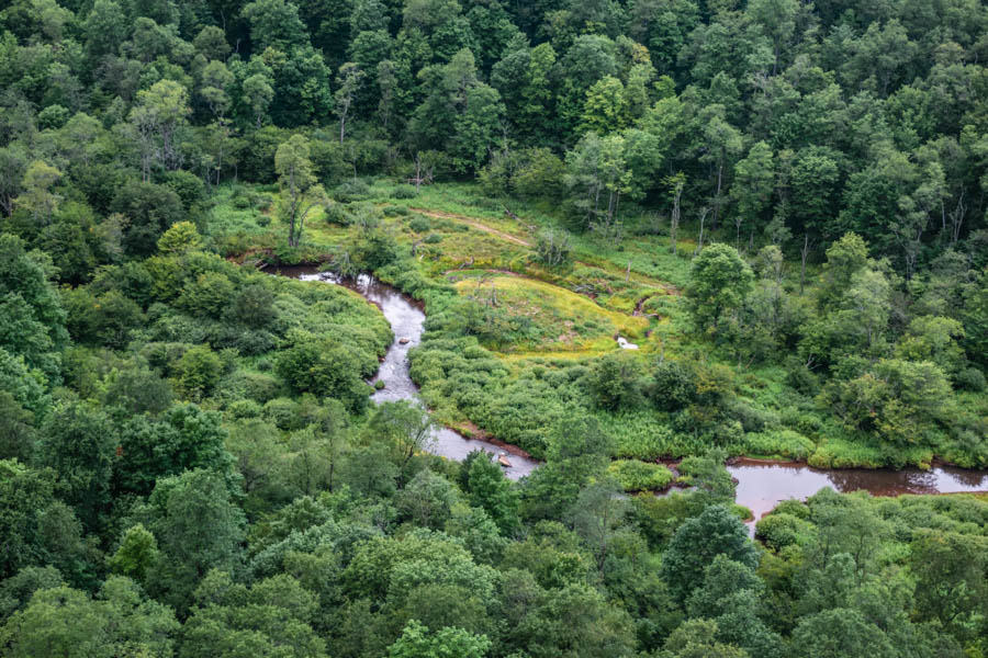 Discover the incredible things to do at Kinzua Bridge State Park including the Kinzua Bridge Skywalk, hiking trails and more!