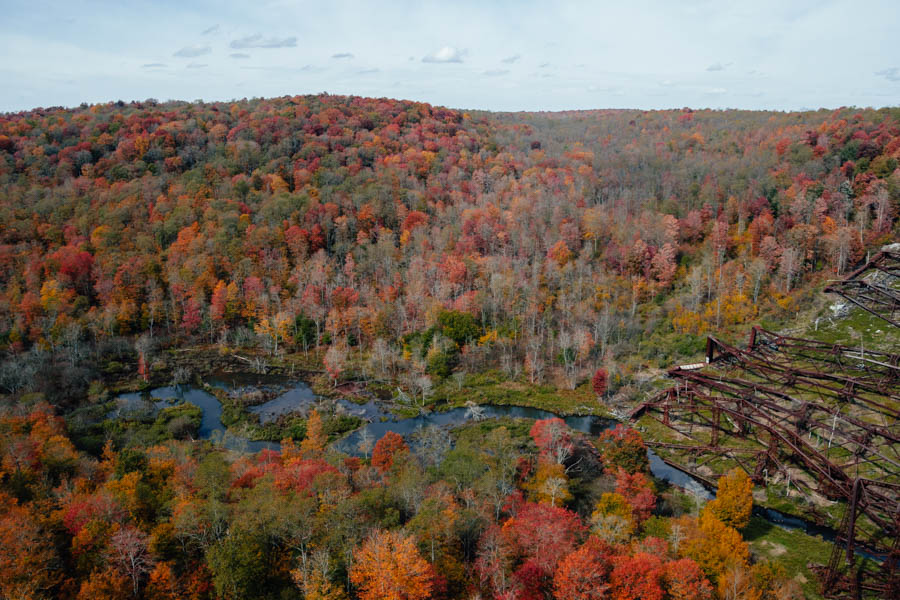 Kinzua Bridge Fall Foliage: Best Spot to See Foliage in Northern PA ...