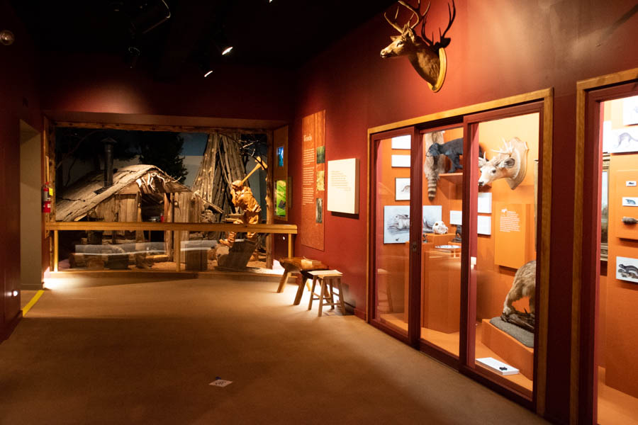 Everything you need to know about visiting Adirondack Experience, the museum on Blue Mountain Lake. This museum in the Adirondacks is a must-visit. | Things to do in the Adirondacks | New York Travel | Day Trips Adirondacks | Adirondacks Trip