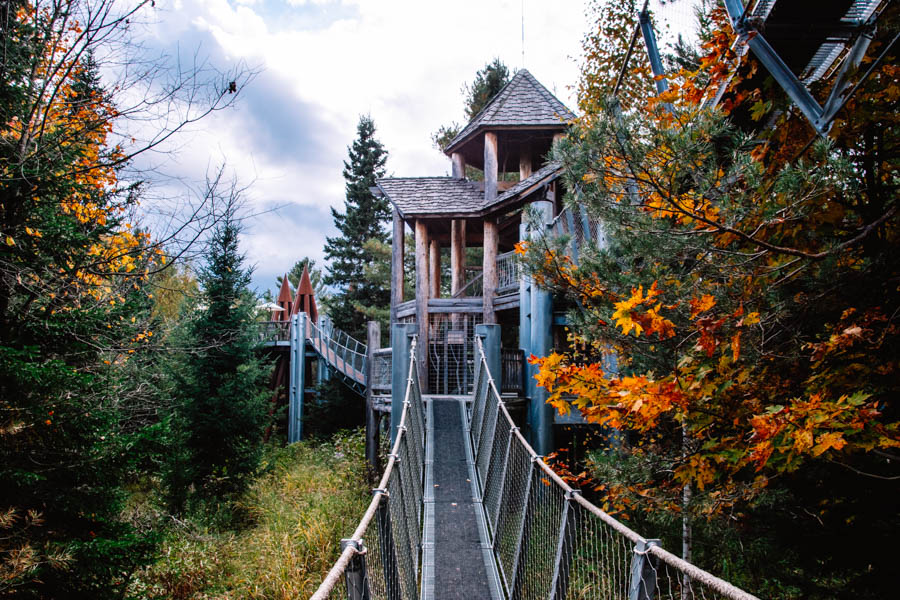 Everything you need to know about visiting The Wild Center, including the Wild Walk, Forest Music and Raquette River Roll.