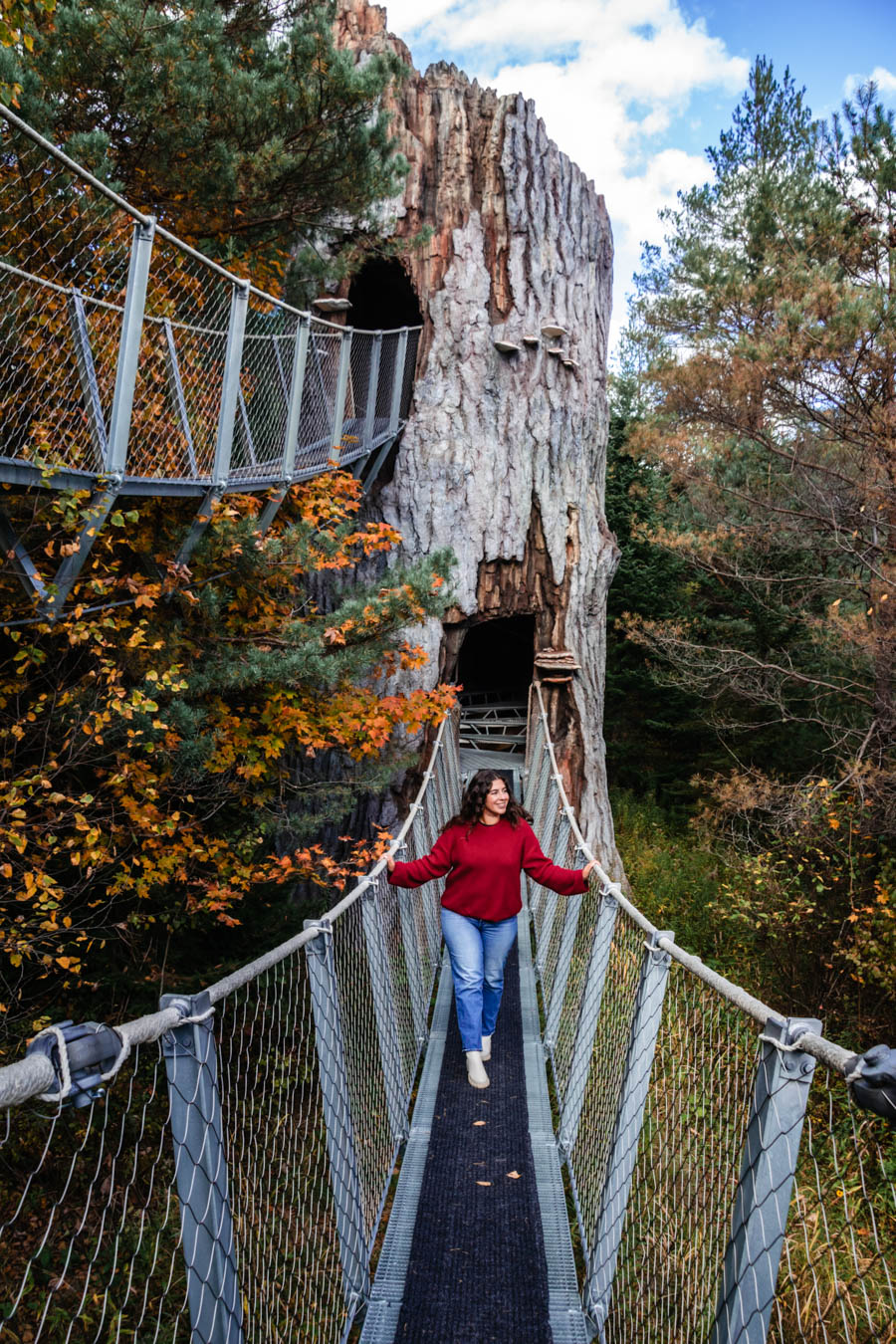 Everything you need to know about visiting The Wild Center, including the Wild Walk, Forest Music and Raquette River Roll.