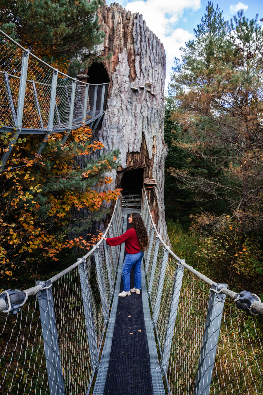 Everything you need to know about visiting The Wild Center, including the Wild Walk, Forest Music and Raquette River Roll.