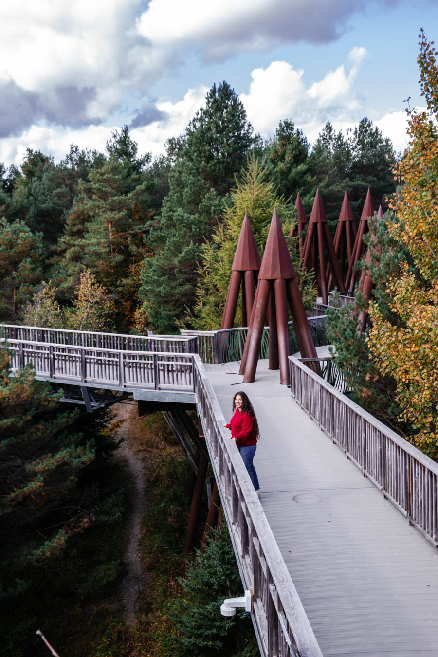 Everything you need to know about visiting The Wild Center, including the Wild Walk, Forest Music and Raquette River Roll.