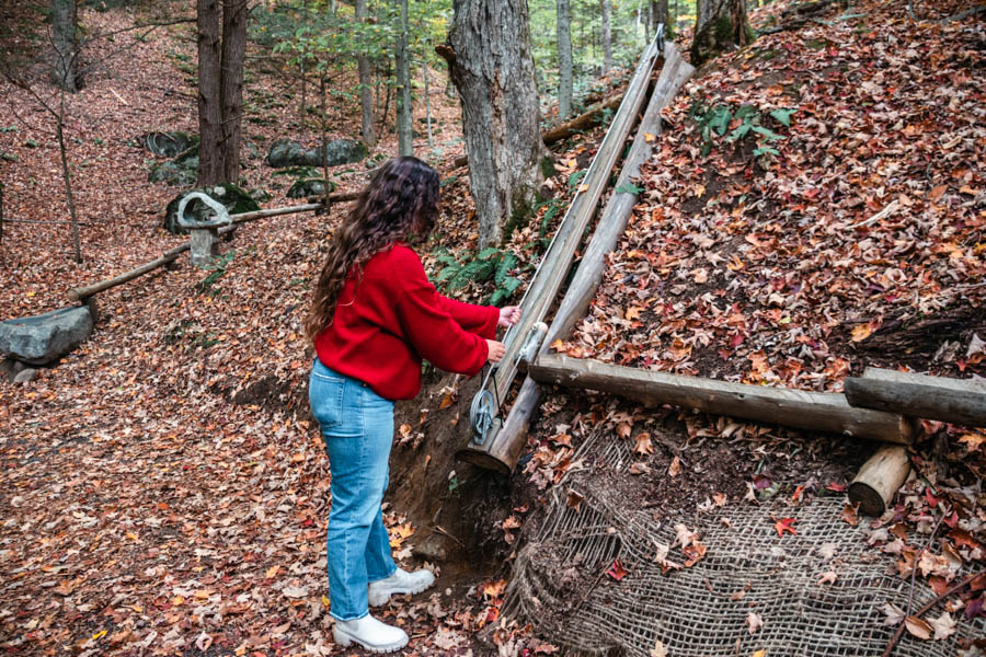 Everything you need to know about visiting The Wild Center, including the Wild Walk, Forest Music and Raquette River Roll.