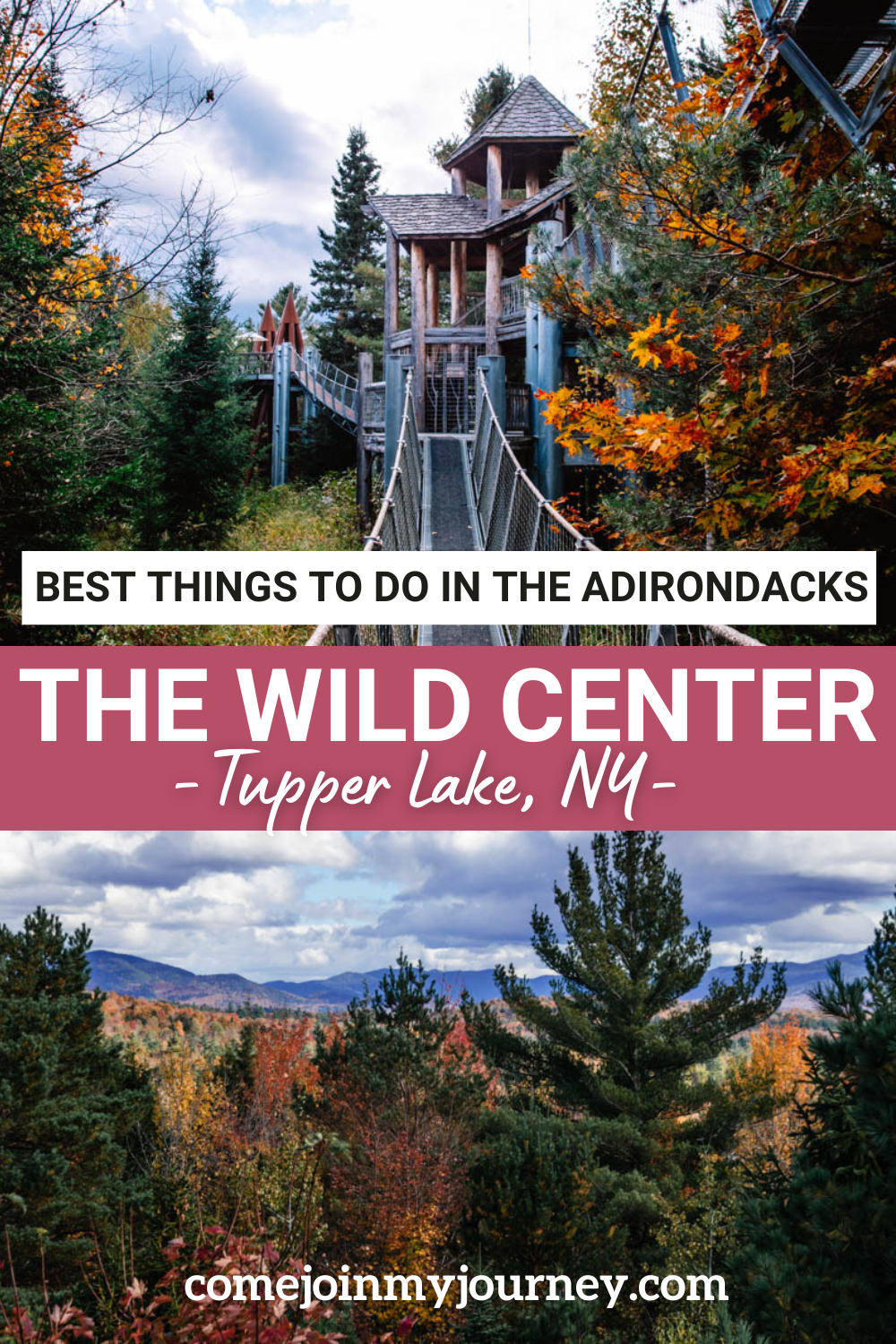 Everything you need to know about visiting The Wild Center, including the Wild Walk, Forest Music and Raquette River Roll.