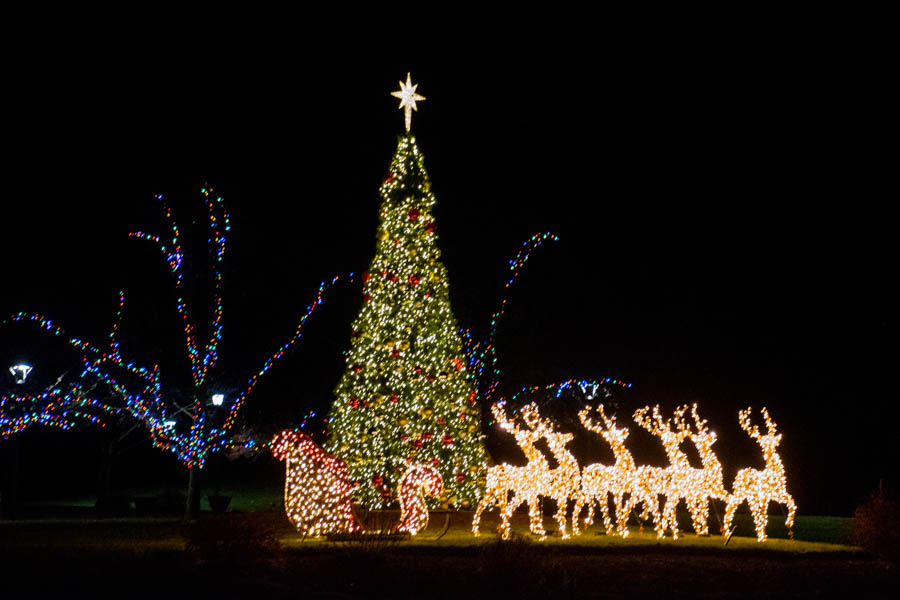 A magical outdoor Christmas light display at Turning Stone Resort. A towering tree covered in shimmering white and red lights stands tall, surrounded by illuminated reindeer figures pulling Santa’s sleigh. The nearby trees are wrapped with colorful twinkle lights, enhancing the festive nighttime scene against the dark sky.