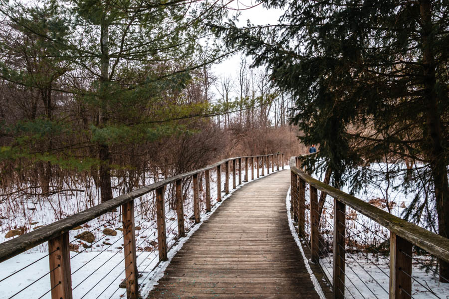 Image of a wooden boardwalk through a snowy forest – A scenic wooden pathway winding through a snow-covered forest, offering a peaceful winter hike in the Finger Lakes region.