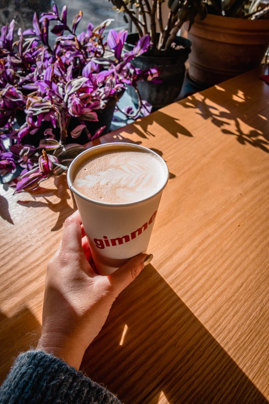 Image of a hand holding a latte in a "Gimme! Coffee" cup next to a purple-leaved plant – A beautifully crafted latte with delicate foam art, enjoyed in the sunlight at a local Finger Lakes café.