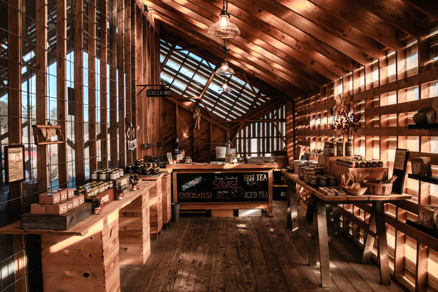 Image of the interior of a rustic farm shop with wooden walls, shelves of honey, and a tea counter – A cozy farm store offering honey, tea, chocolates, and local goods, bathed in warm golden light.