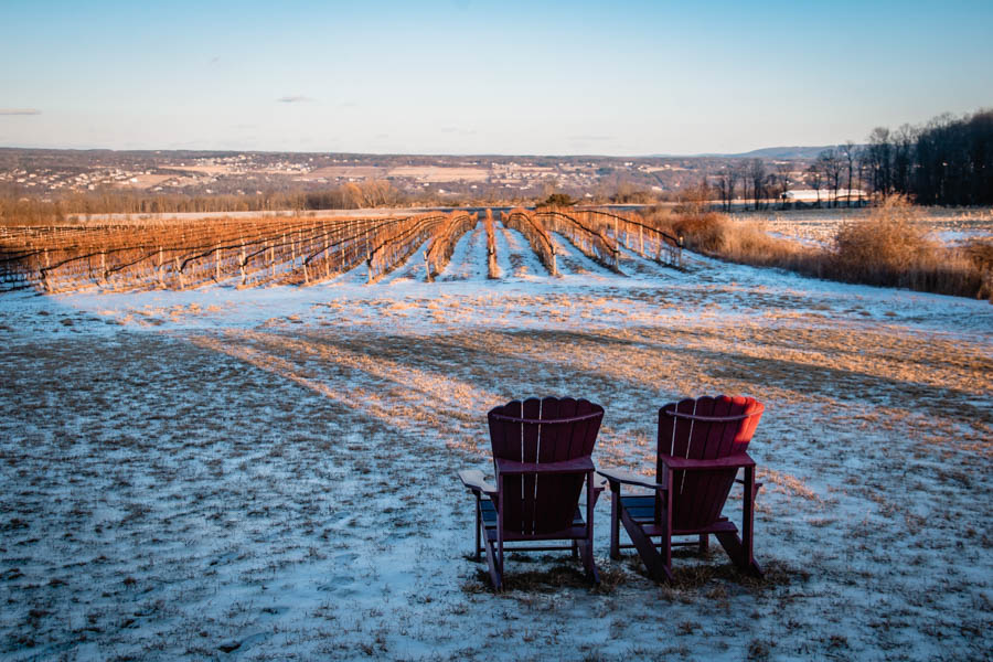 Serene vineyard landscape with two Adirondack chairs, overlooking rows of vines in a snow-covered setting.