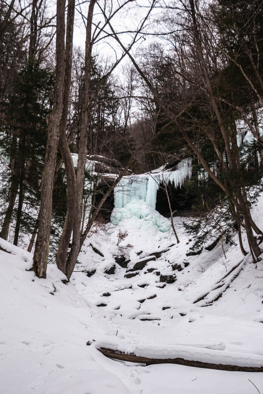 Frozen Waterfall Hidden in the Woods – A stunning frozen waterfall surrounded by icicles and snow-covered trees, creating a magical winter landscape.